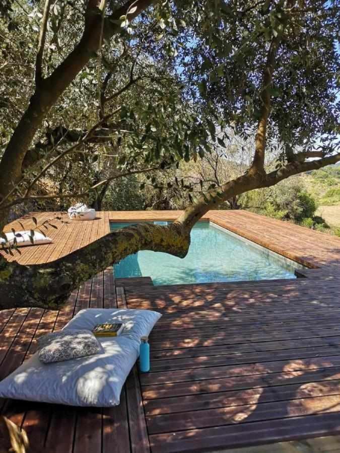 Biovilla Sustentabilidade Palmela Exterior photo