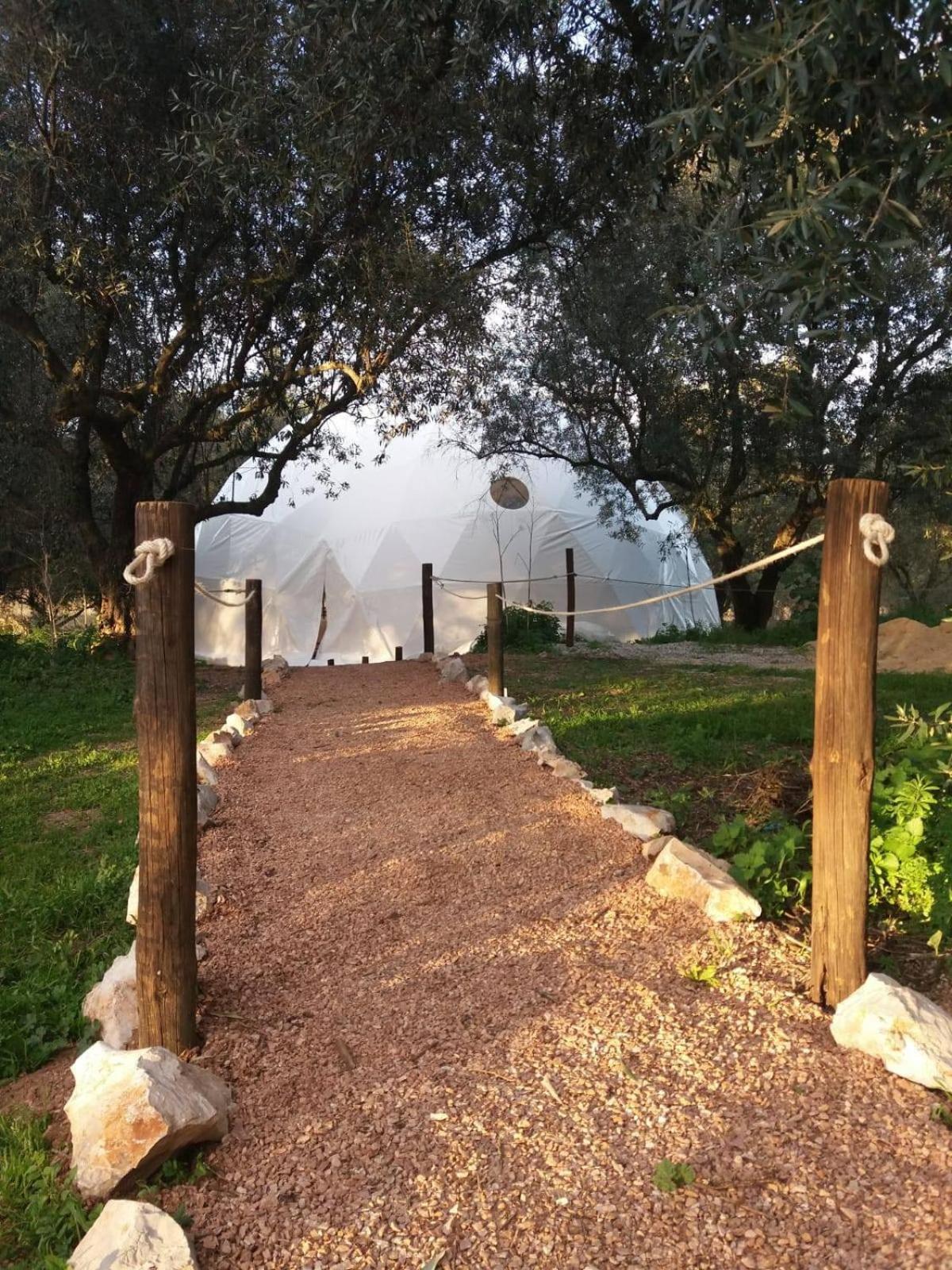 Biovilla Sustentabilidade Palmela Exterior photo